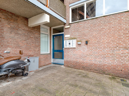 Noordsingel 144