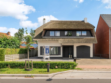 Worteldorp 47 