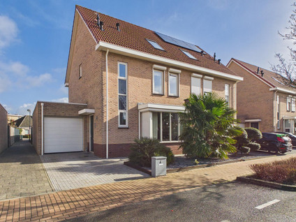 Aalscholver 14