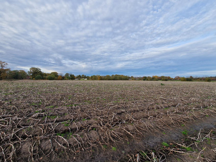 Peeldijk 