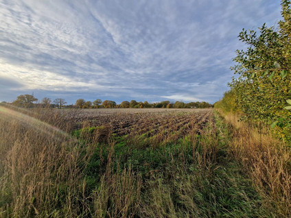 Peeldijk 