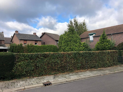 Hoordstraat 8
