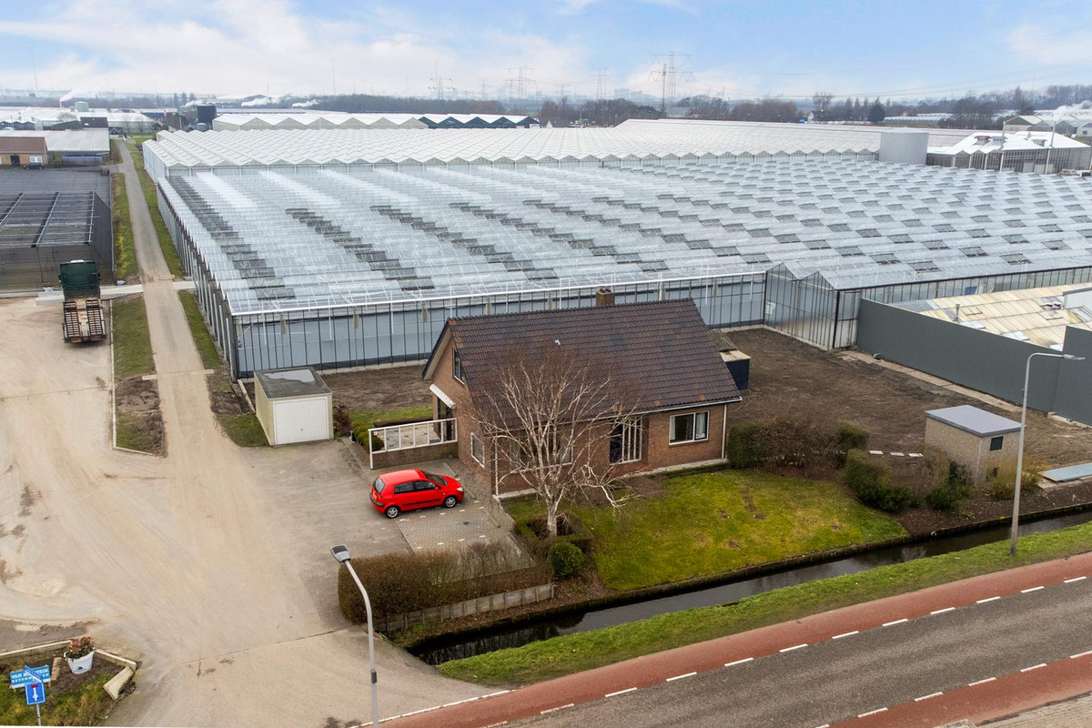 Vrijstaande woning te koop: Lange Kruisweg 12, Maasdijk