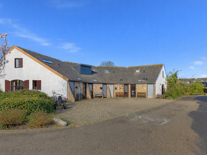 Herckenstein 137