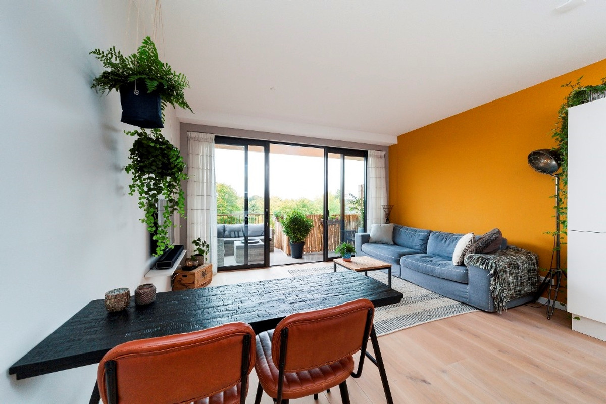 Koopvaarder 3 204, Hoorn