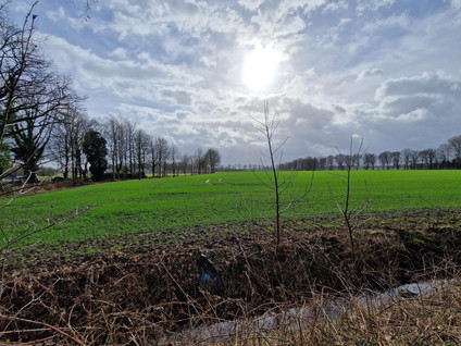 Rondweg 