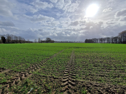 Rondweg 
