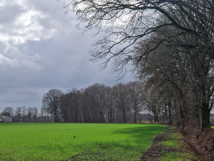 Rondweg 