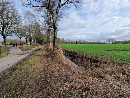 Rondweg 