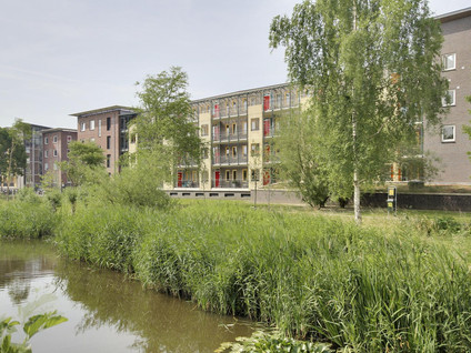 A rental house advertisment