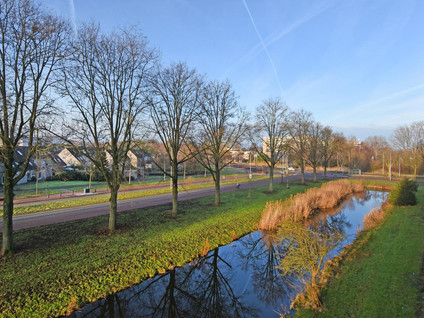 Prinses Annalaan 224