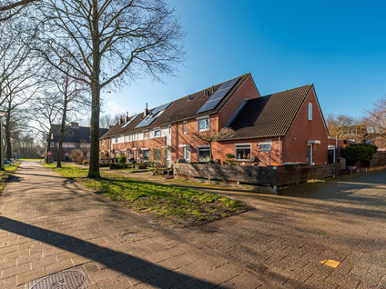 Roerdompweide 30