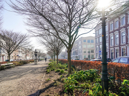 Nassauplein 11A