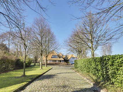 Hogezoom 41