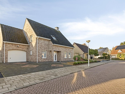 Vlasbloem 4