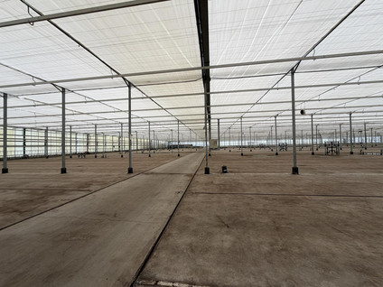 Rietwijkeroordweg 69kwek