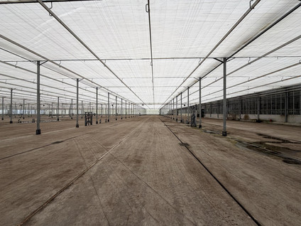 Rietwijkeroordweg 69kwek