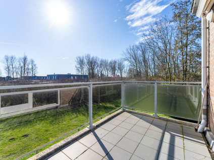Schorrebloem 36