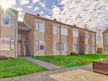 Schorrebloem 38
