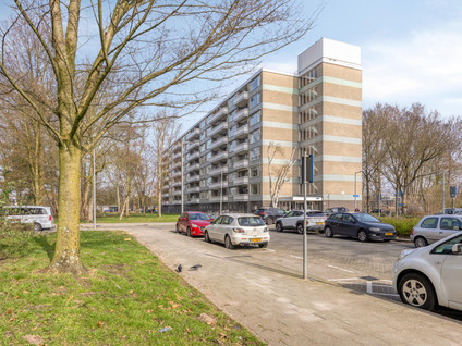 Everaertstraat 87