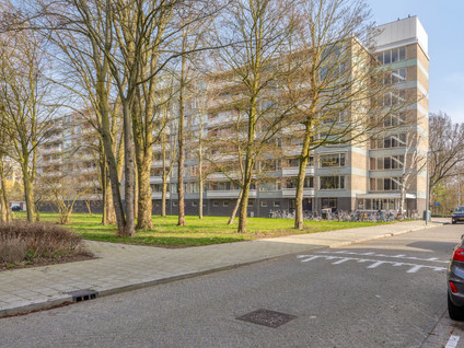 Everaertstraat 87
