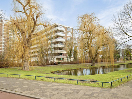 Wilgenplaslaan 384