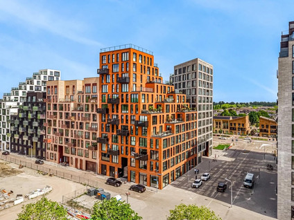 Mies van der Rohestraat 105