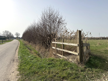 Gerestraat - Heesselt