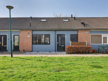 Jan Roeststraat 4