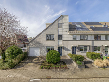 Woestijnvaraan 17