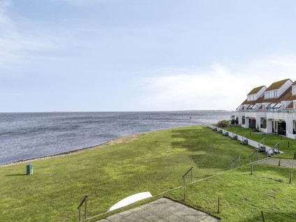 Zaete 14