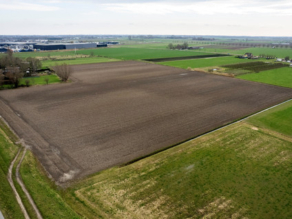 Cultuurgrond Hoge Maasdijk 