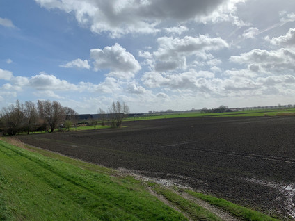 Cultuurgrond Hoge Maasdijk 