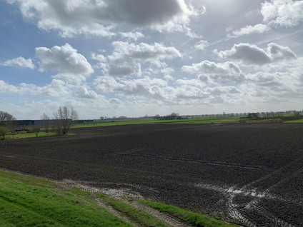 Cultuurgrond Hoge Maasdijk 