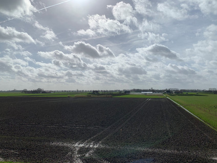 Cultuurgrond Hoge Maasdijk 