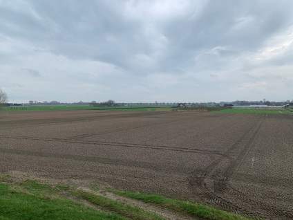 Cultuurgrond Hoge Maasdijk 