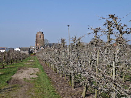 Voorstraat 85 - Beesd