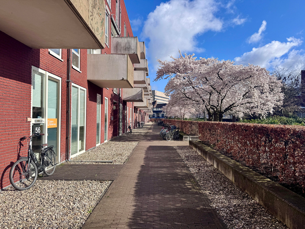 Groenmarktstraat 6, Utrecht