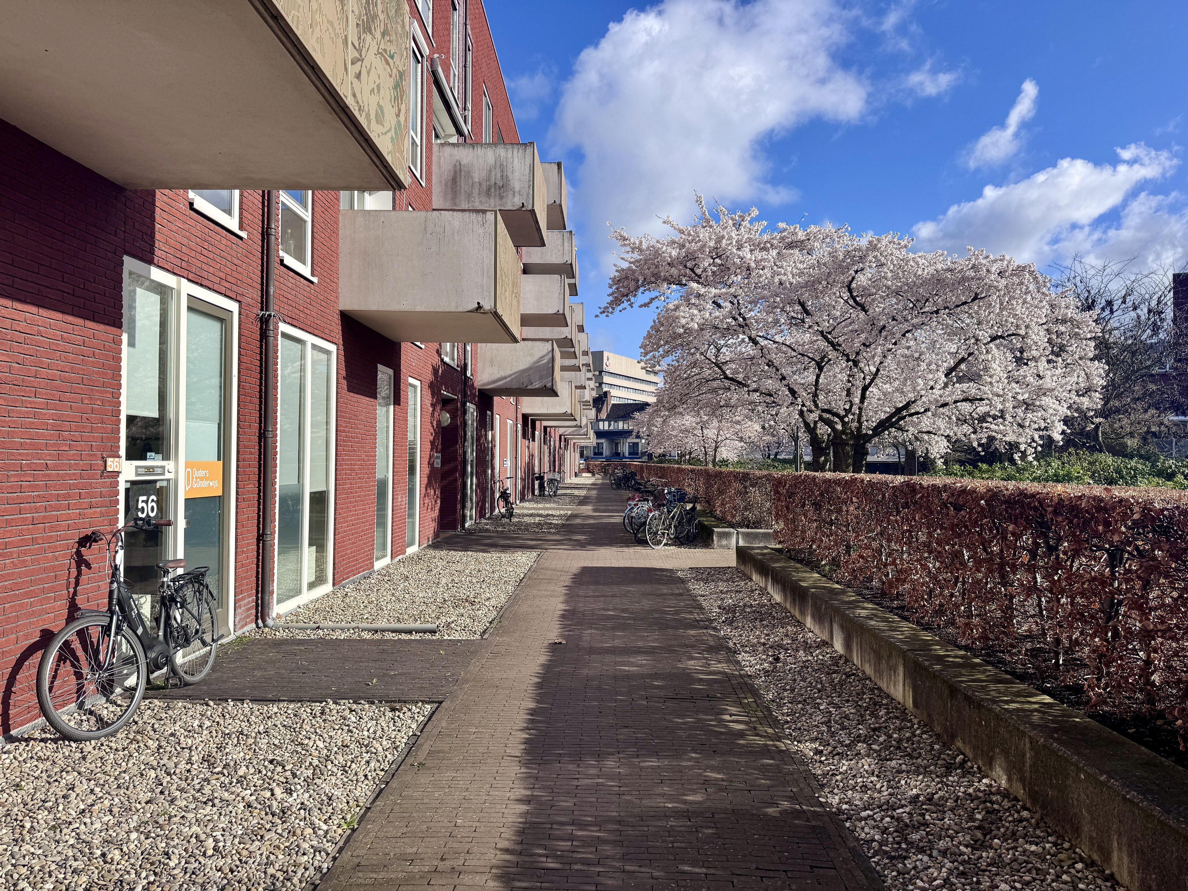 Groenmarktstraat 6, Utrecht