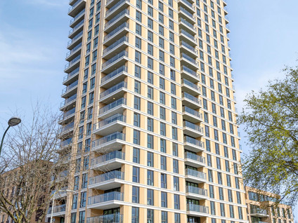 Randveen 596
