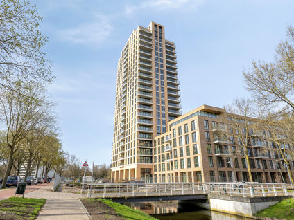 Randveen 596