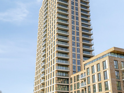 Randveen 596