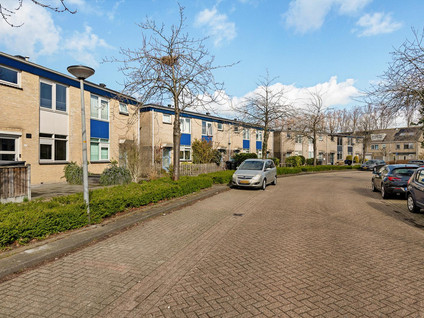 Cellostraat 20