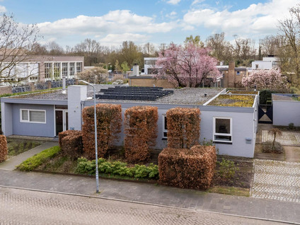 Liviusstraat 11