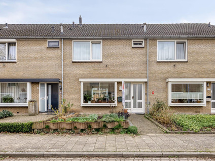 Ligusterstraat 17