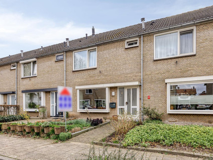 Ligusterstraat 17