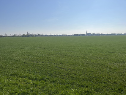 Vriezenweg 
