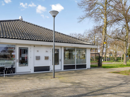 Faunasingel 36