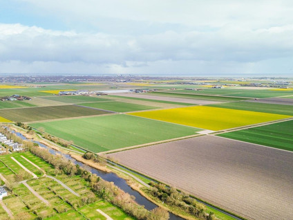Watermunt 19