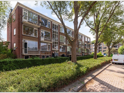 vrije-sector-woningen te huur op Dr. Ir. Lelystraat 29